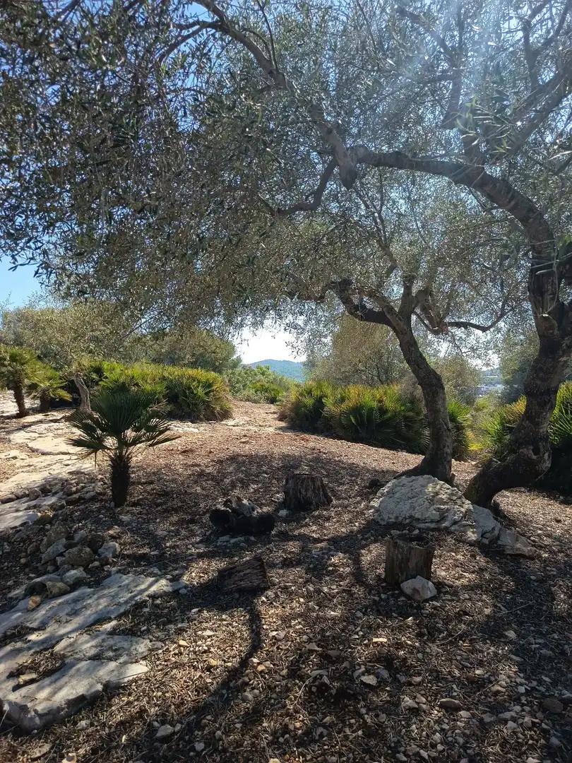 Villa avec terrasse à vendre à EL PUIG, imagen 112