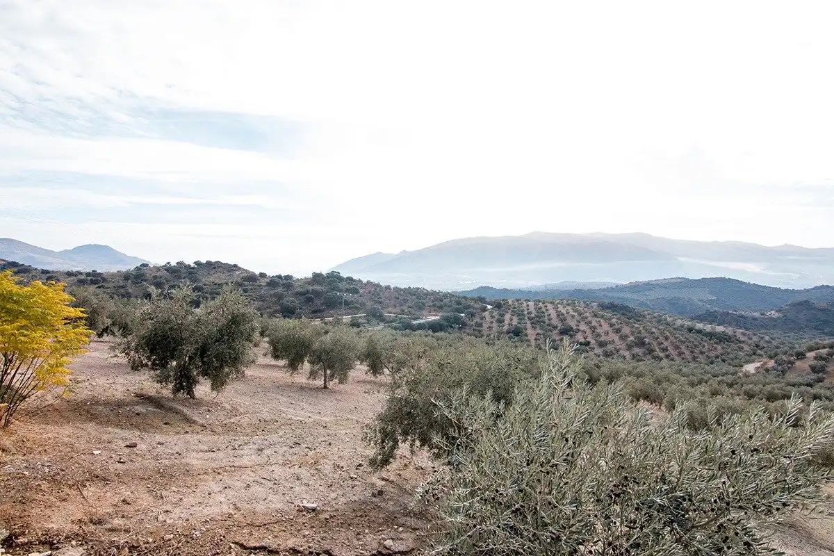 Country homes for sale in Loja