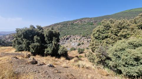 Foto 2 de Terreno en venta en Paterna del Río, Almería