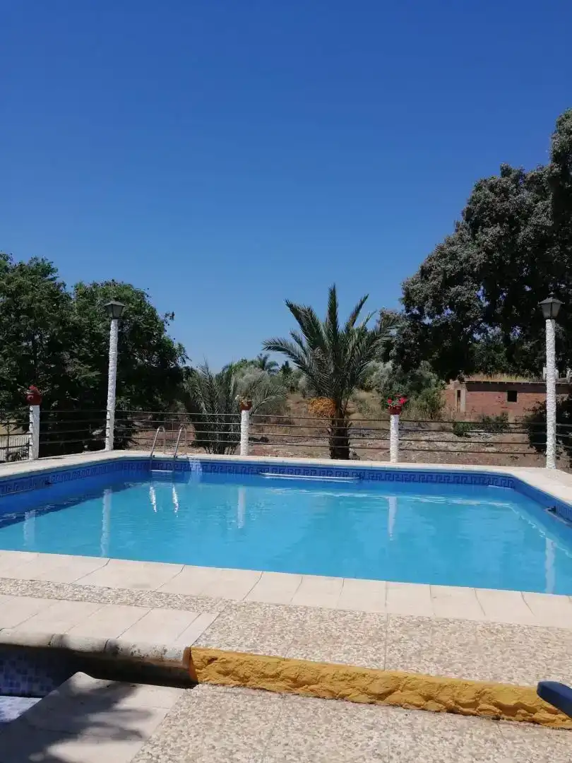 Piscina de Finca rústica en venda en Lora del Río amb Aire condicionat i Piscina