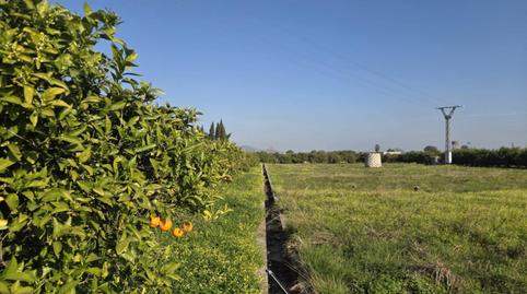 Foto 2 von Grundstücke zum Verkauf in Rafelcofer, Valencia