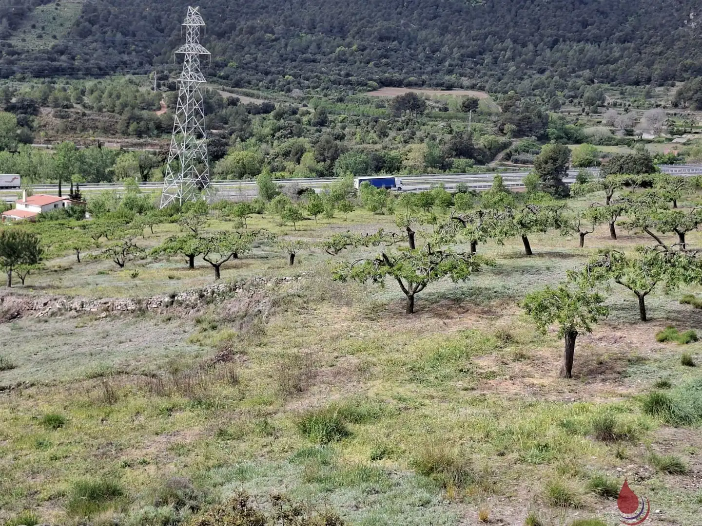 Residencial en venta en Cabra del Camp