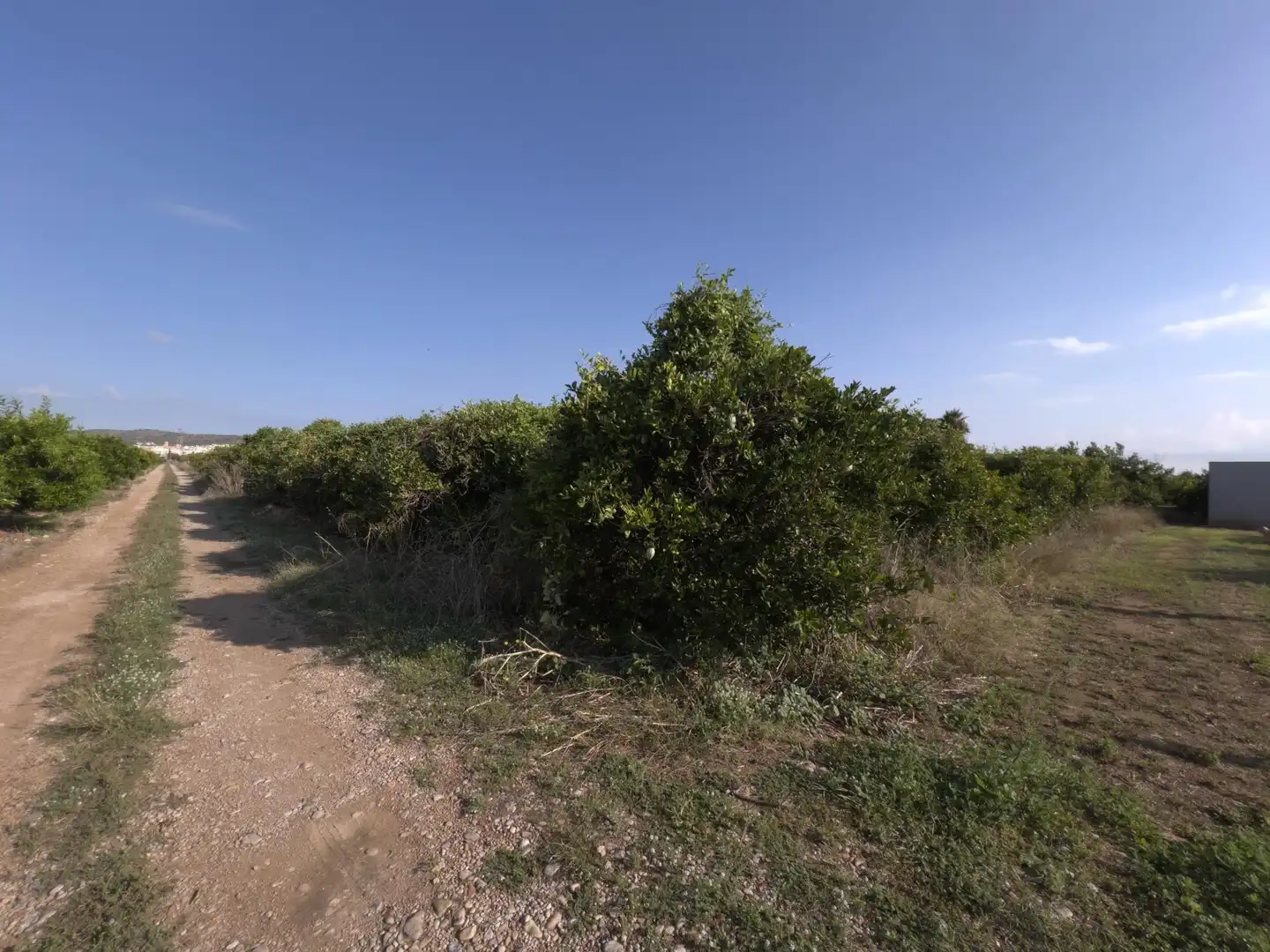 Rural land for sale in Alcanar, imagen 7