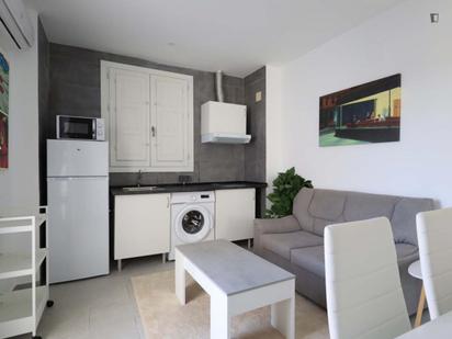 Living room of Apartment to rent in  Madrid Capital  with Air Conditioner, Heating and Furnished
