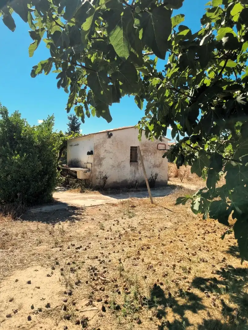 Lands and plots for sale in poligono 17 parcela 32, imagen 20