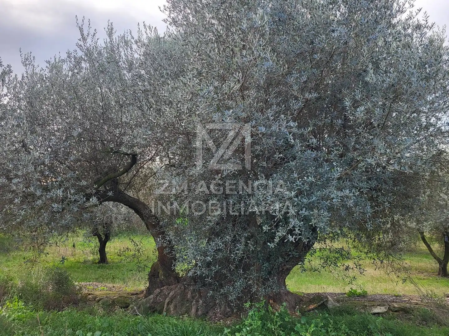 Terreno rustico in vendita a Cabanes, imagen 10