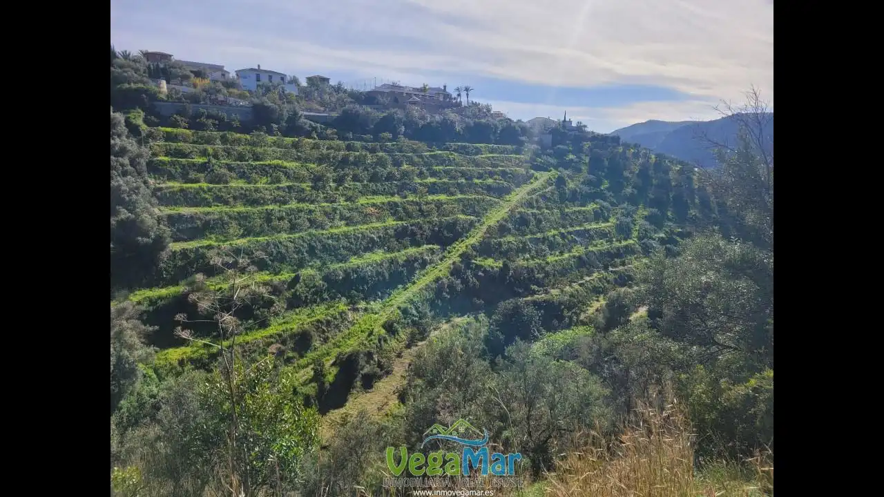 Terreny rústic en venda a Barranco de la Fifa