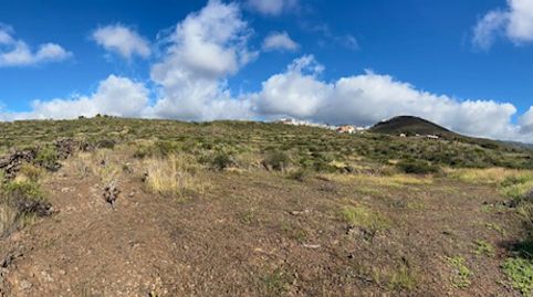 Foto 4 de Terreno en venta en Calle de Los Tomillos, 9, El Salto, Granadilla de Abona