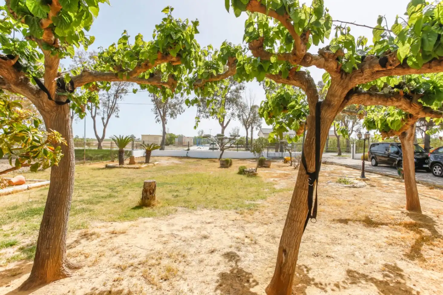 Casa rústica en venta en Deltebre, imagen 13