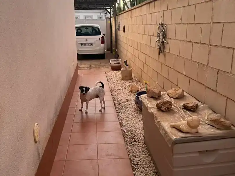 Casa o xalet en venda en  Murcia Capital amb Aire condicionat i Piscina