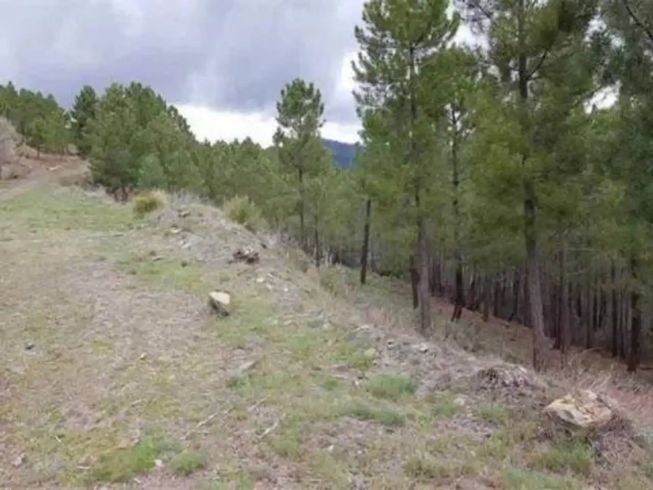 Rural land for sale in Robledillo de la Jara, imagen 5