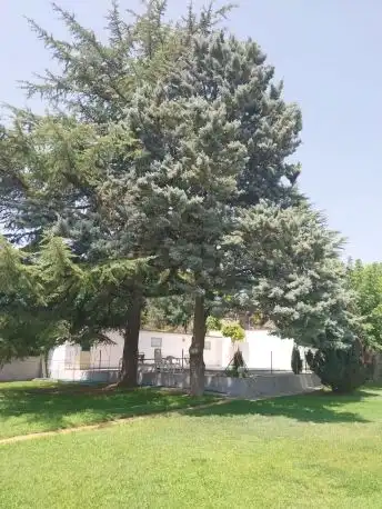 Jardí de Residencial en venda en La Sentiu de Sió