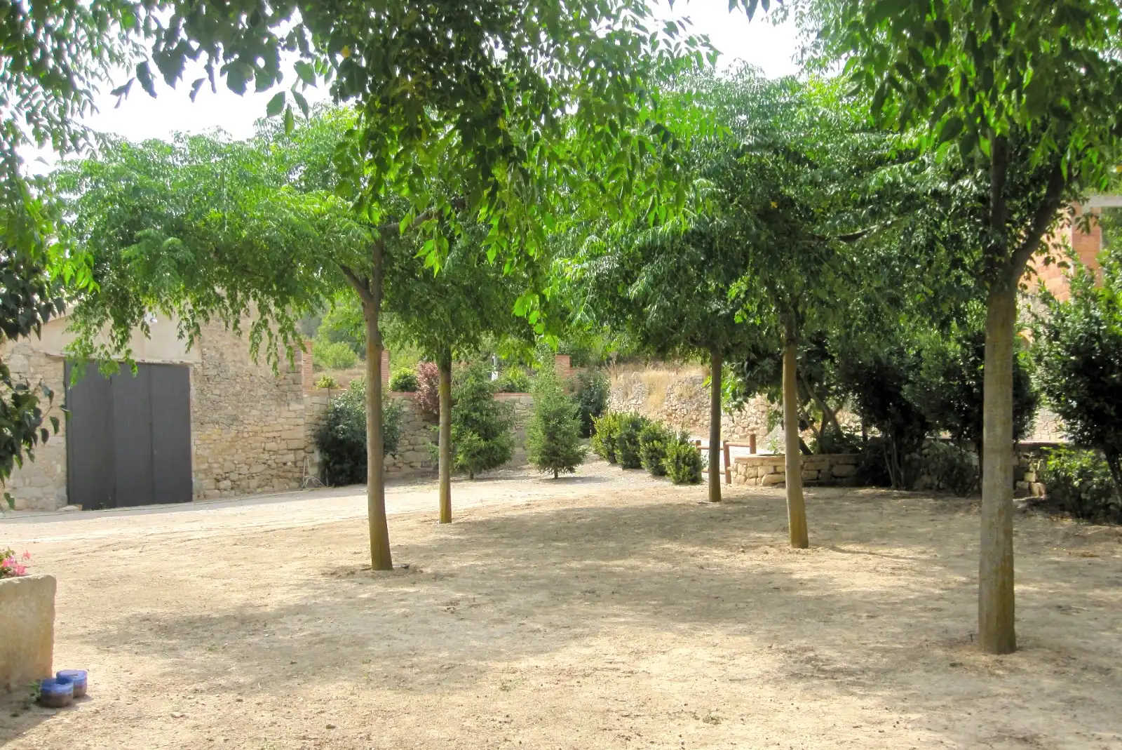 Terreno rústico en venta en Vallbona de Les Monges, imagen 15