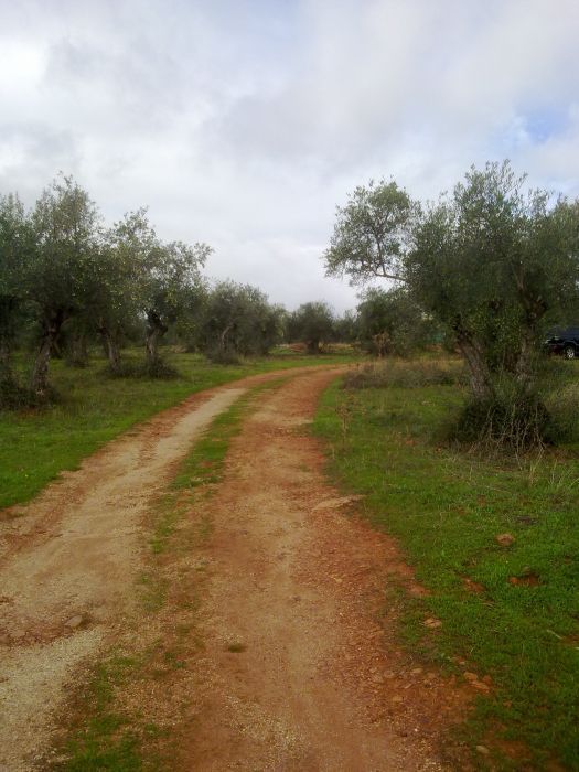 Country house for sale in Cáceres Capital