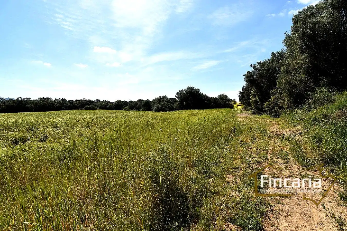 Lands and plots for sale in Ma-5120, imagen 7