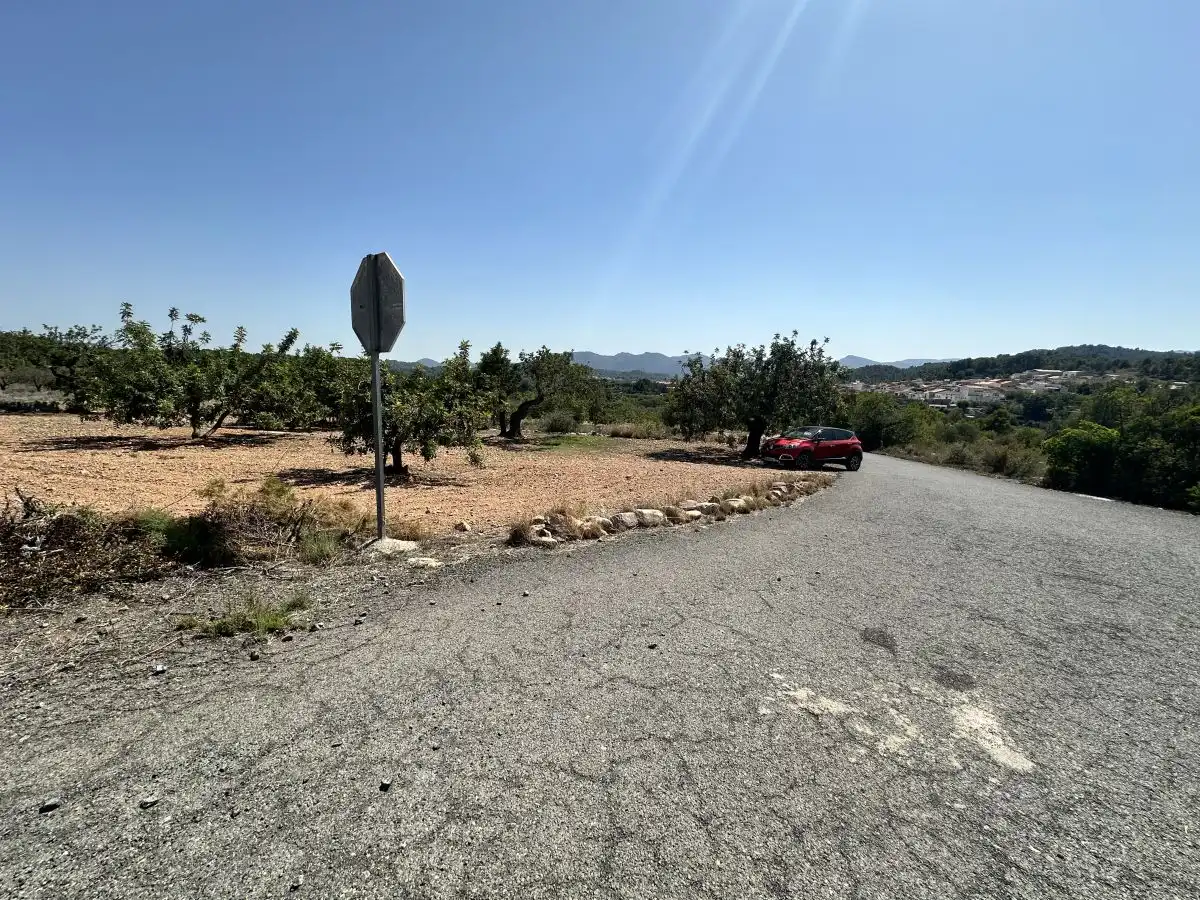 Terreno residencial en venta en Alfara de la Baronia, imagen 12