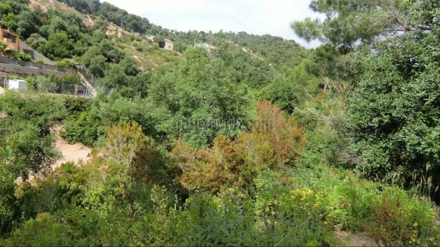 Terreny residencial en venda a Avinguda de la Senyera 79, imagen 6
