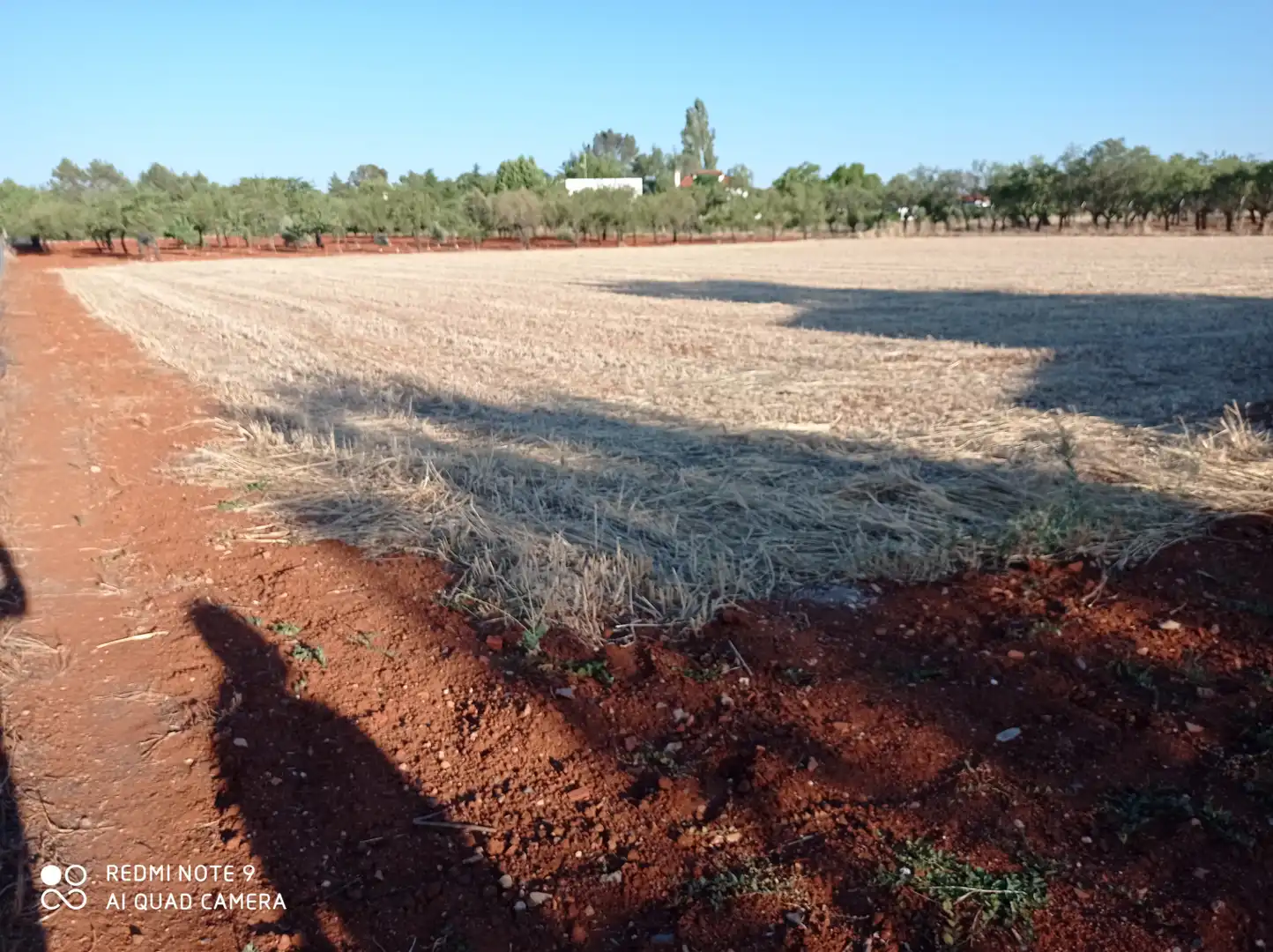Terreno en venta en Ciudad Real