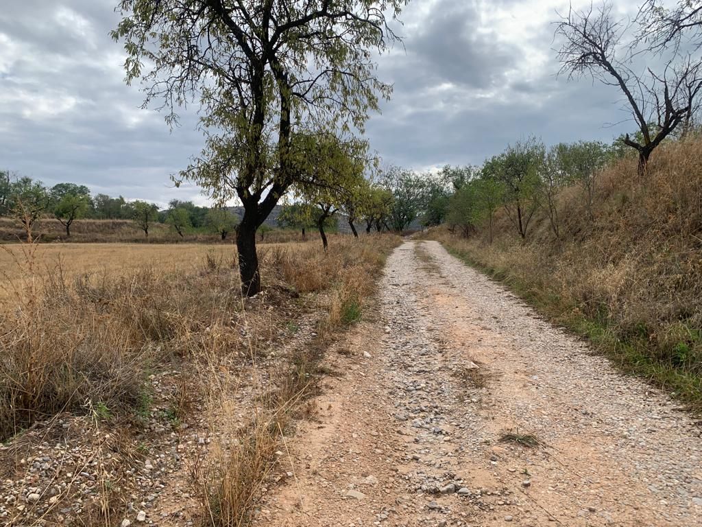 Industrial land for sale in SECTOR SP PP 62 DE TARACENA CAMINO DE IRIEPAL, Iriépal - Taracena - Valdenoches
