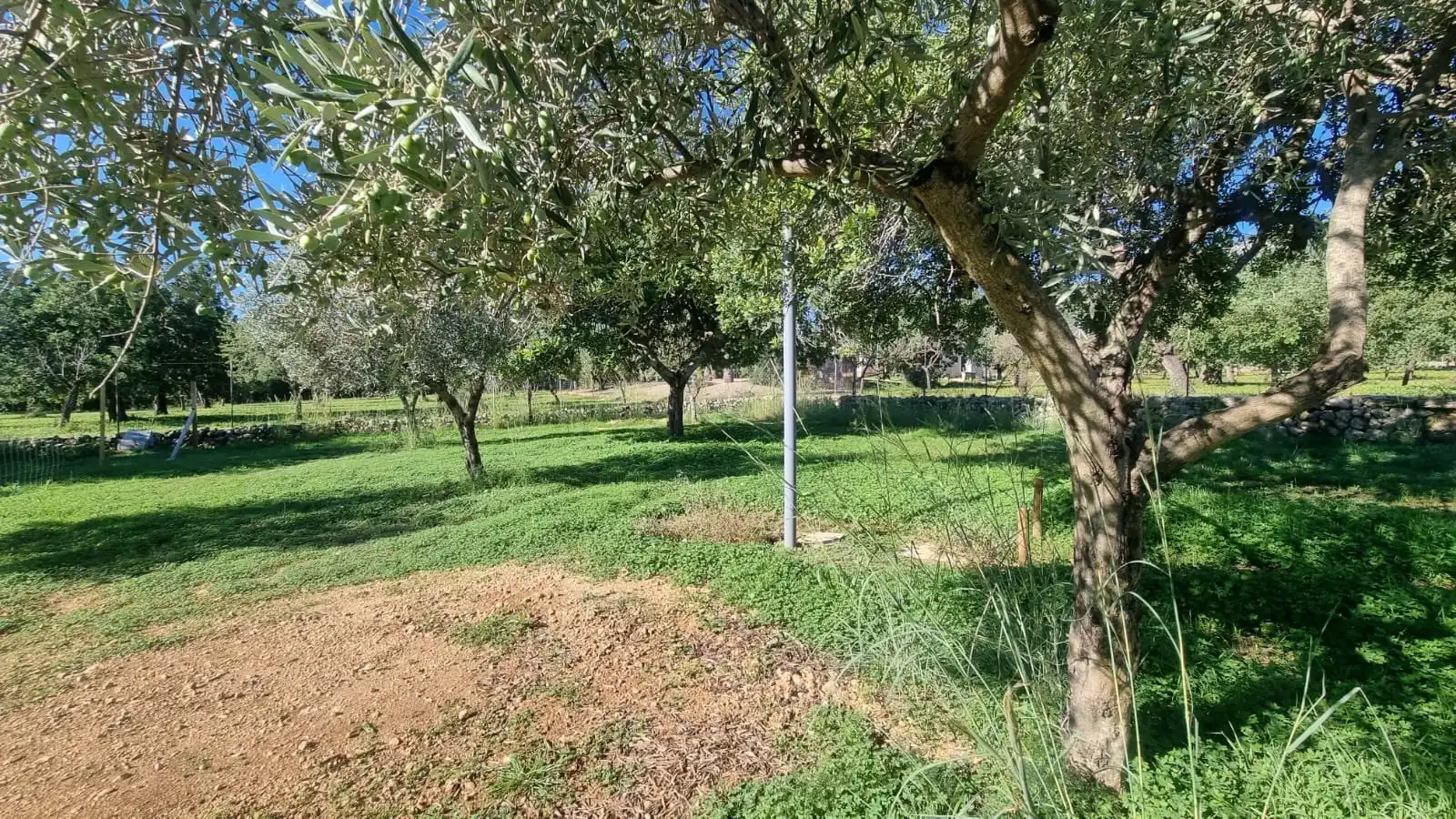 Finca rústica en venta en Selva, Illes Balears