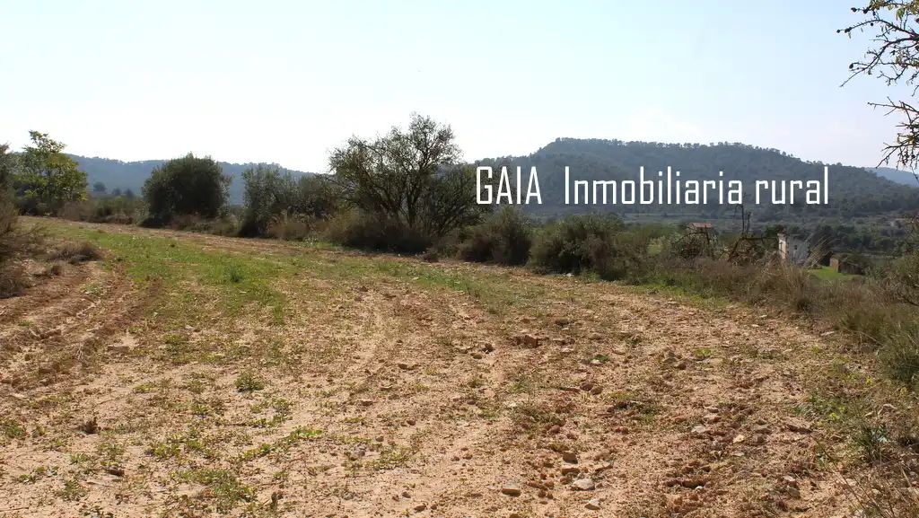 Finca rústica en venda en Batea