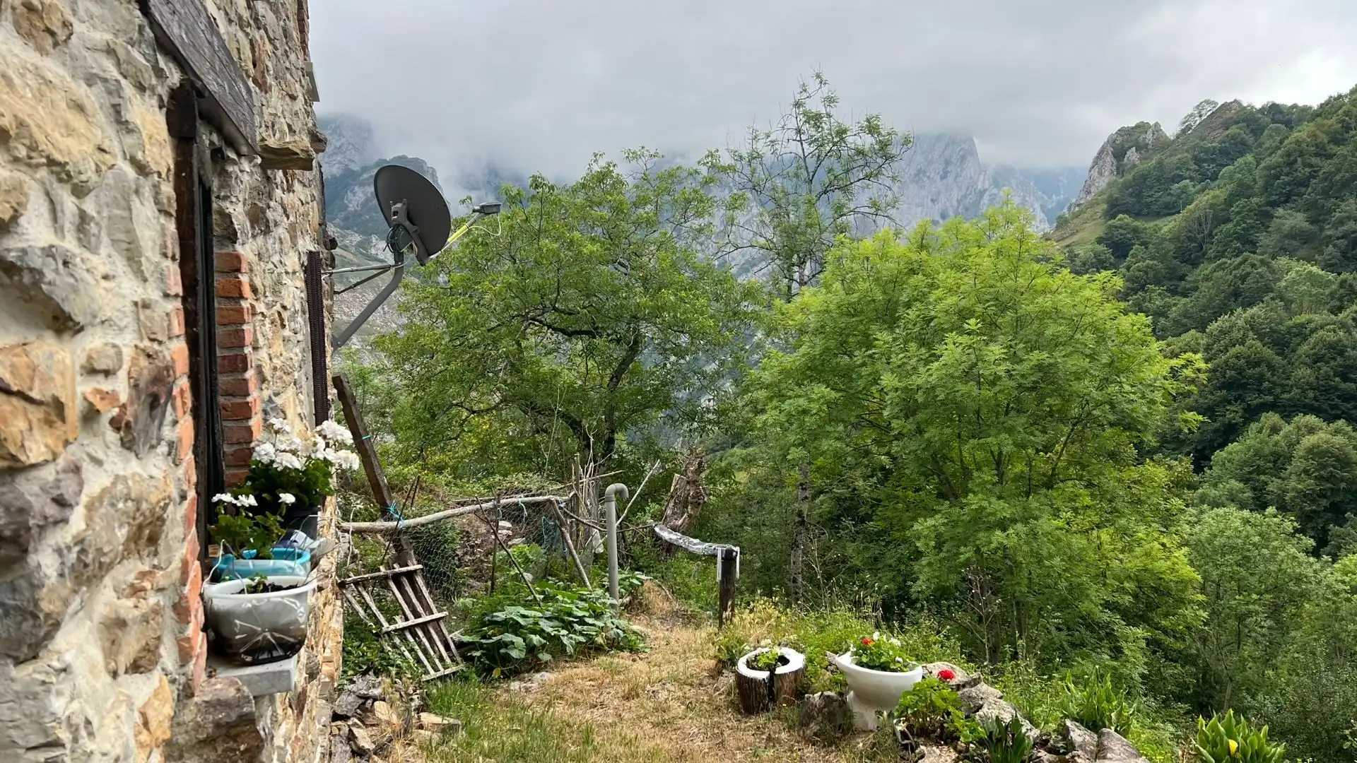 Garden of Houses for sale in Ponga