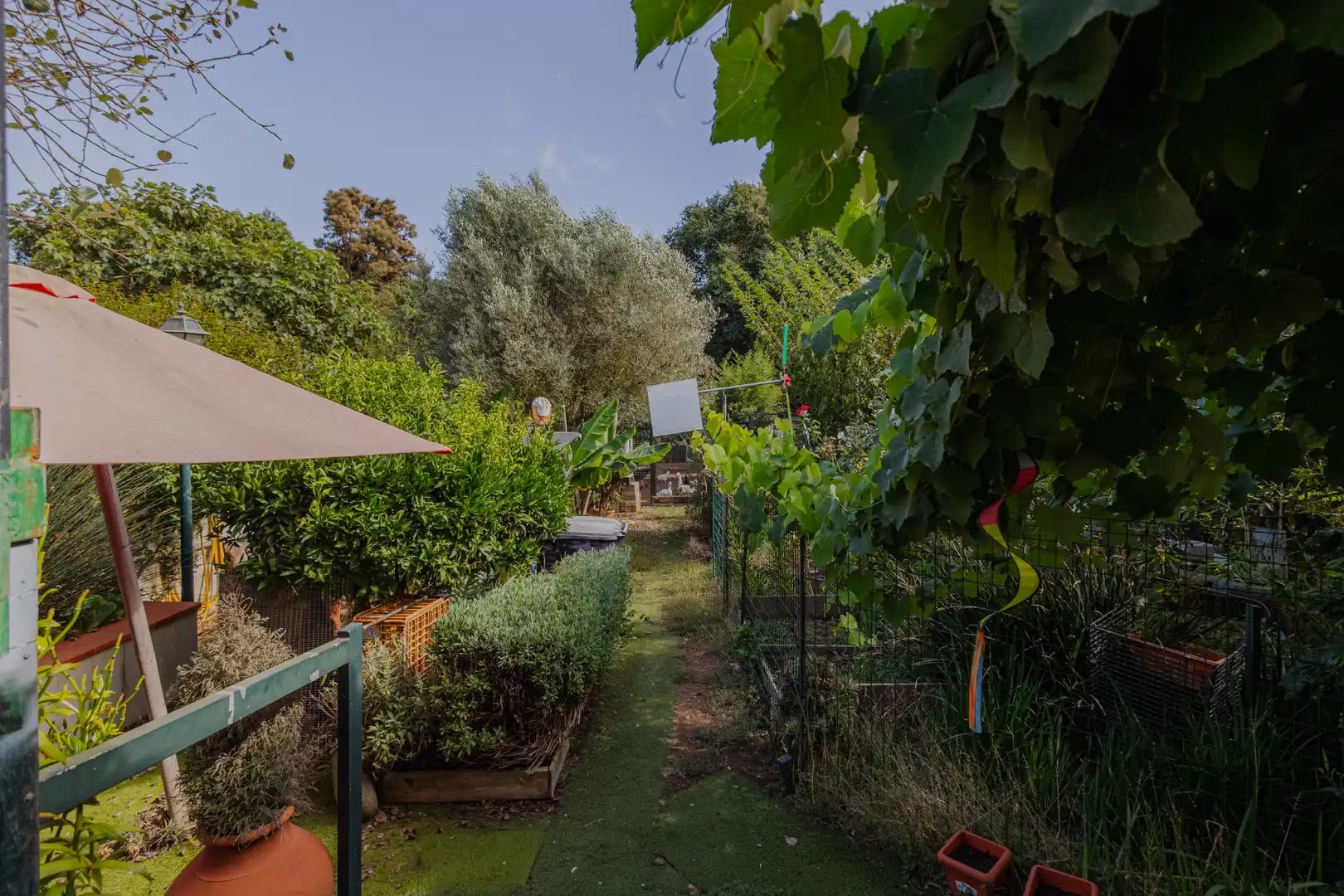 Jardí de Casa o xalet en venda en Guamasa - El Ortigal - Los Rodeos