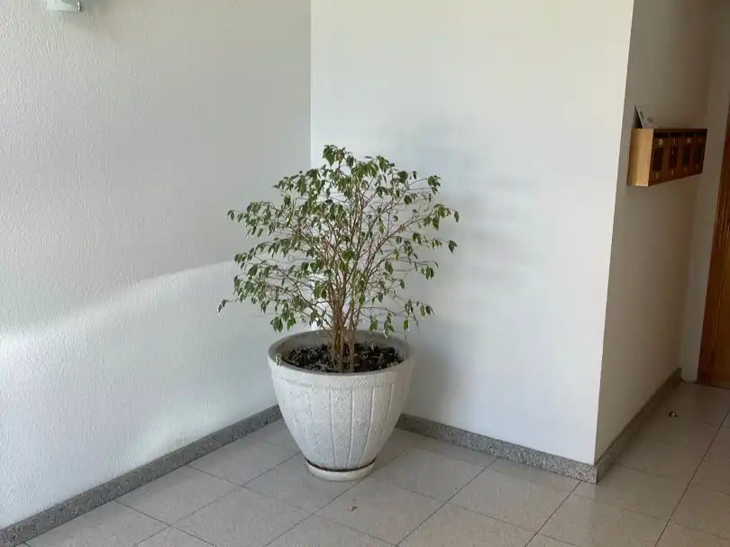 Wohnung zum Verkauf in MOSSEN SARRET 78, imagen 12