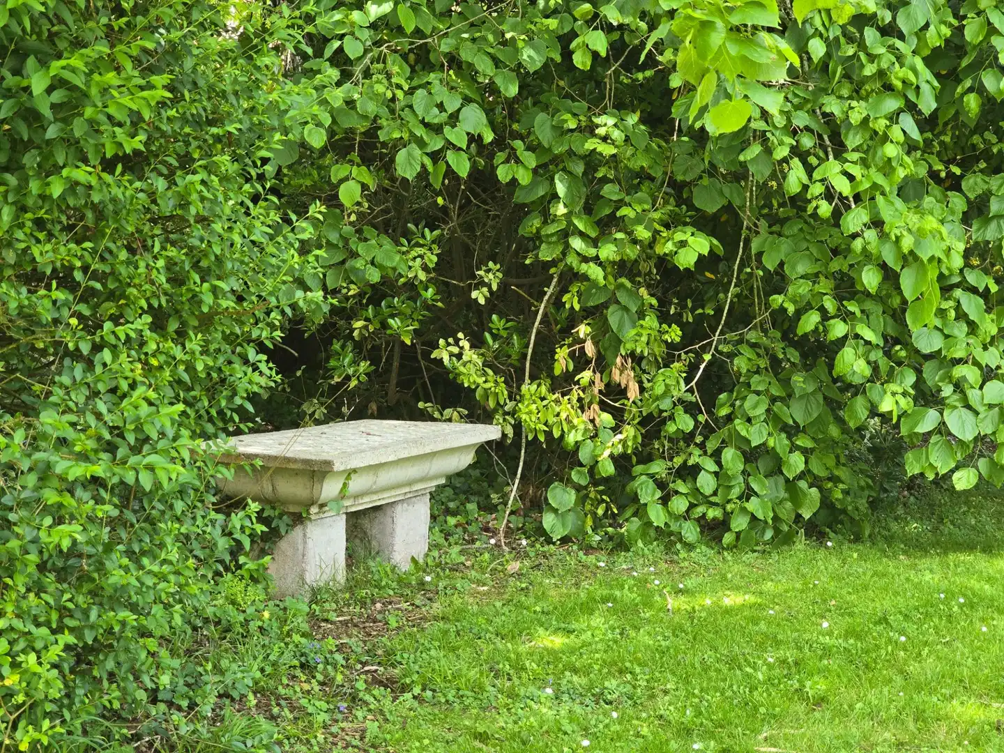 Villa con giardino in vendita a Vidiago - Pendueles - Tresgrandas, imagen 10