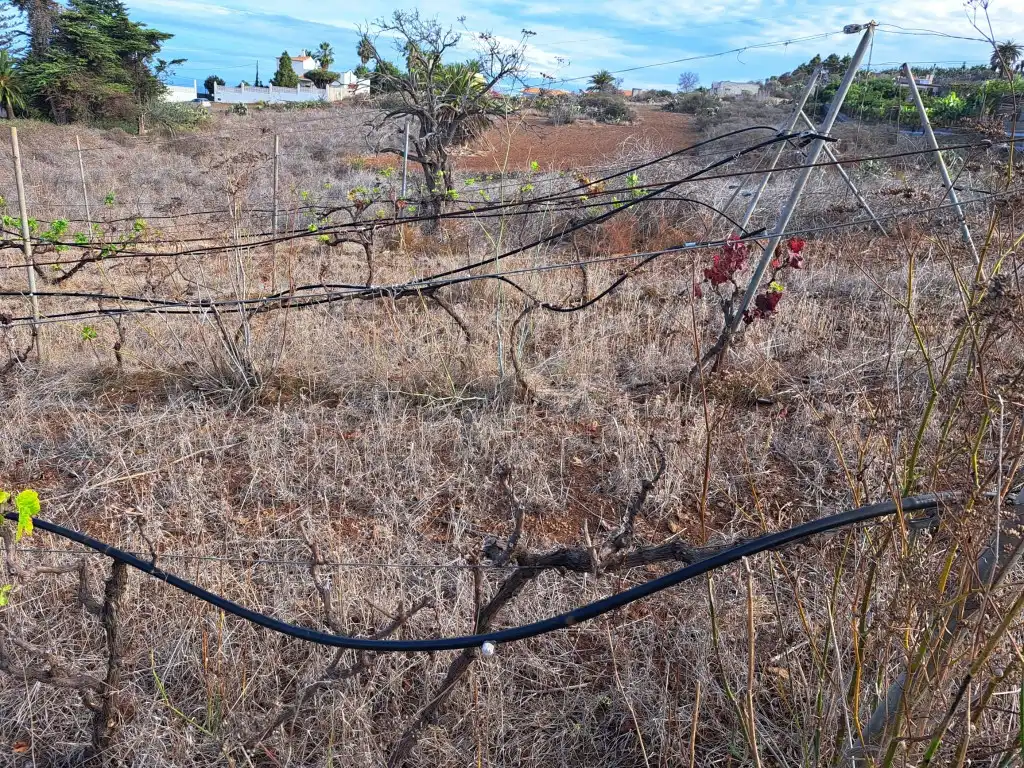 Rural land for sale in El Sauzal, imagen 40