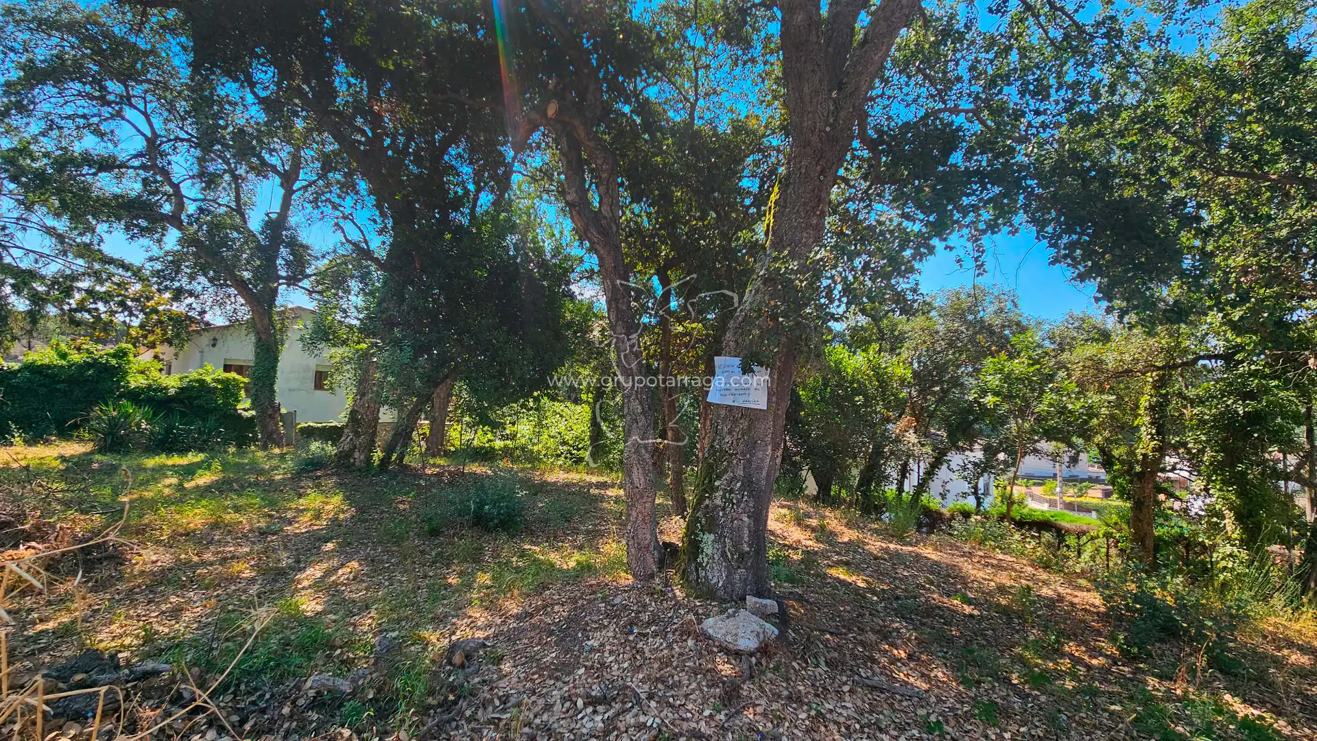 Terreny residencial en venda a Carrer Llorer 1, imagen 2