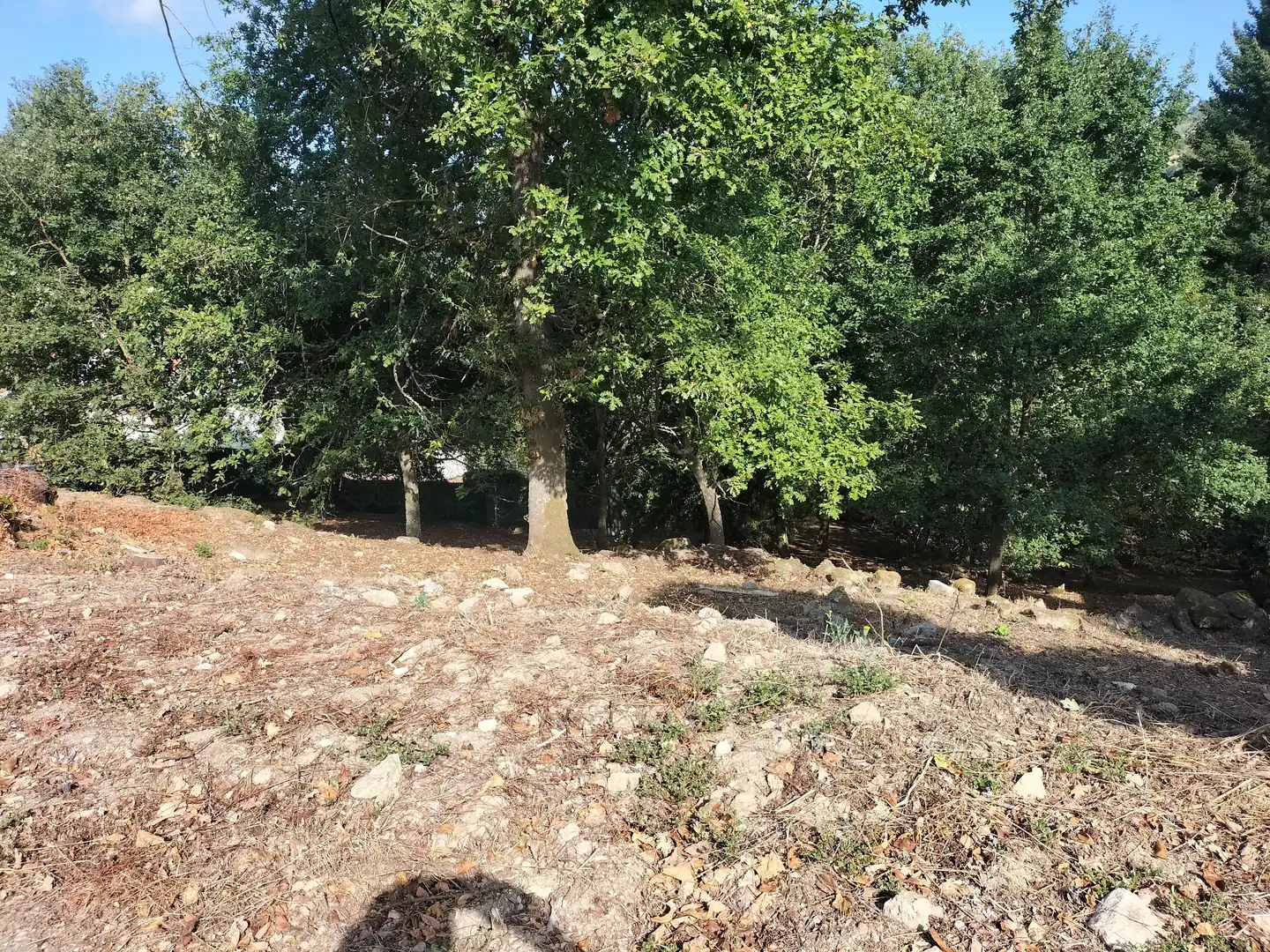 Residential land for sale in San Rosendo, imagen 4