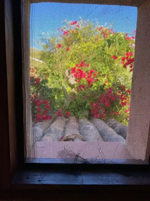 Bungalow de lloguer a S'Arracó, imagen 16