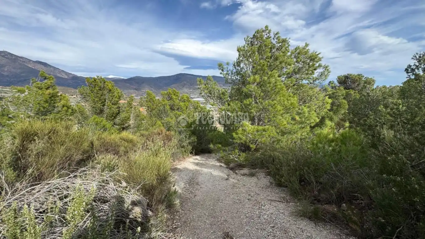 Terreno en venta en Gualchos