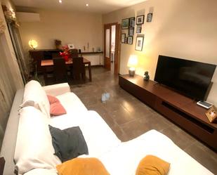 Living room of Flat for sale in Arbúcies  with Air Conditioner, Heating and Storage room