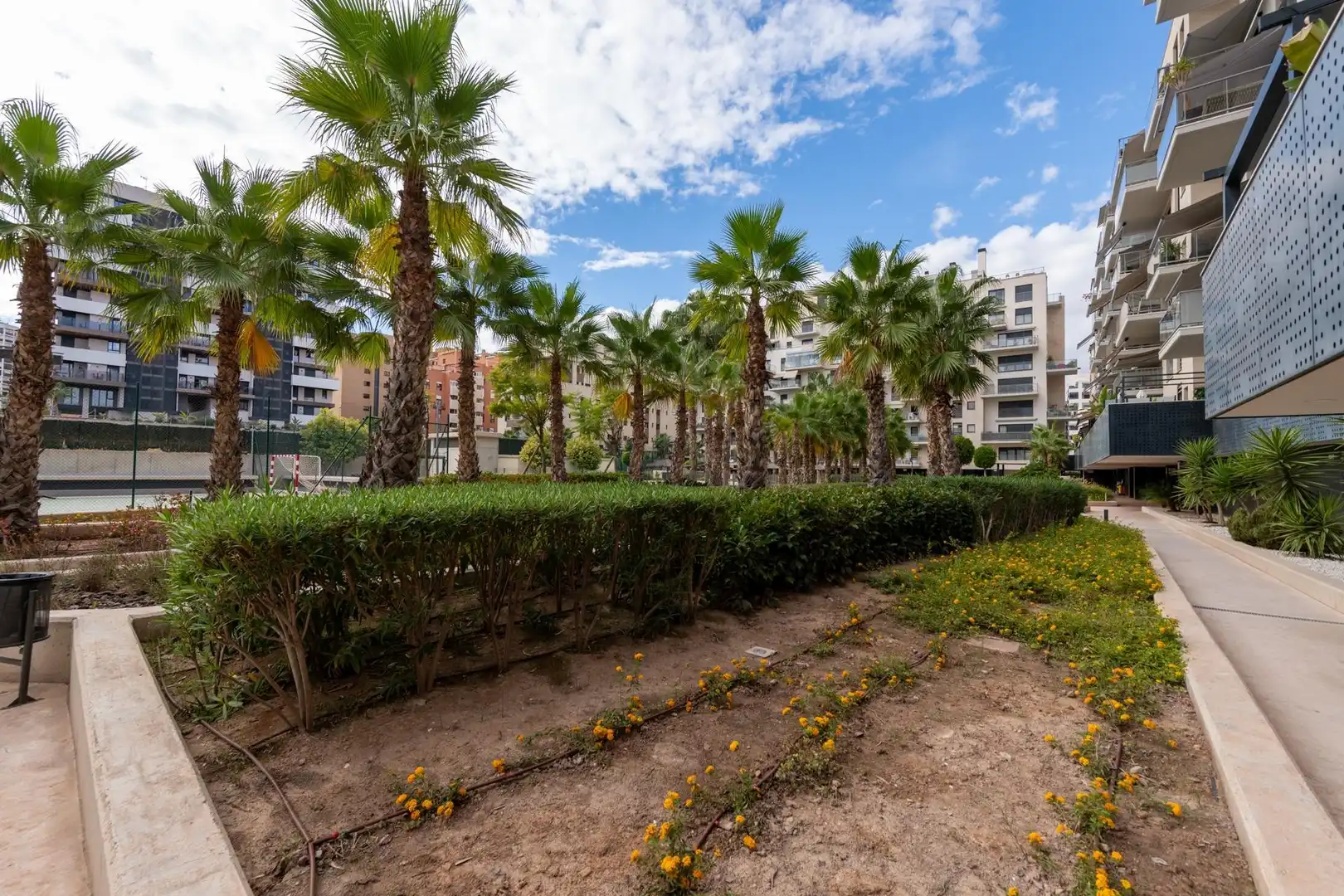 Wohnung mit Pool zur Miete in Calle Calle Tridente, imagen 49