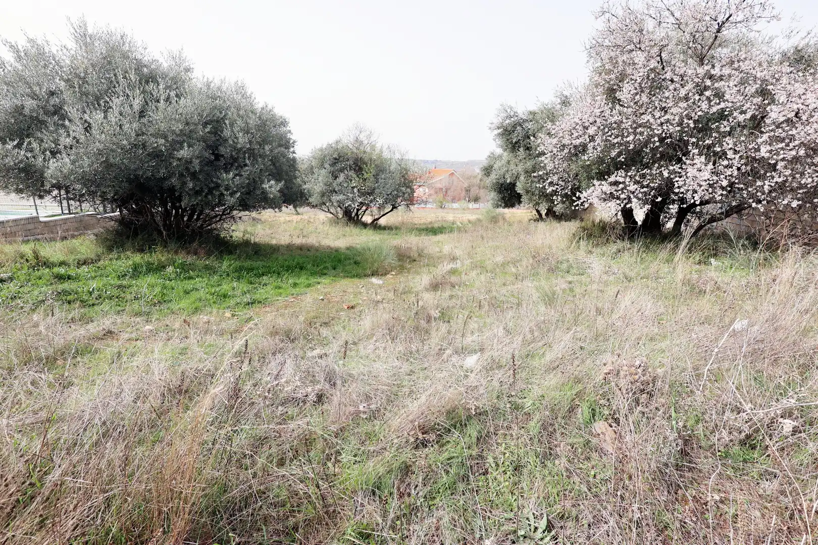 Land for sale in Mejorada del Campo