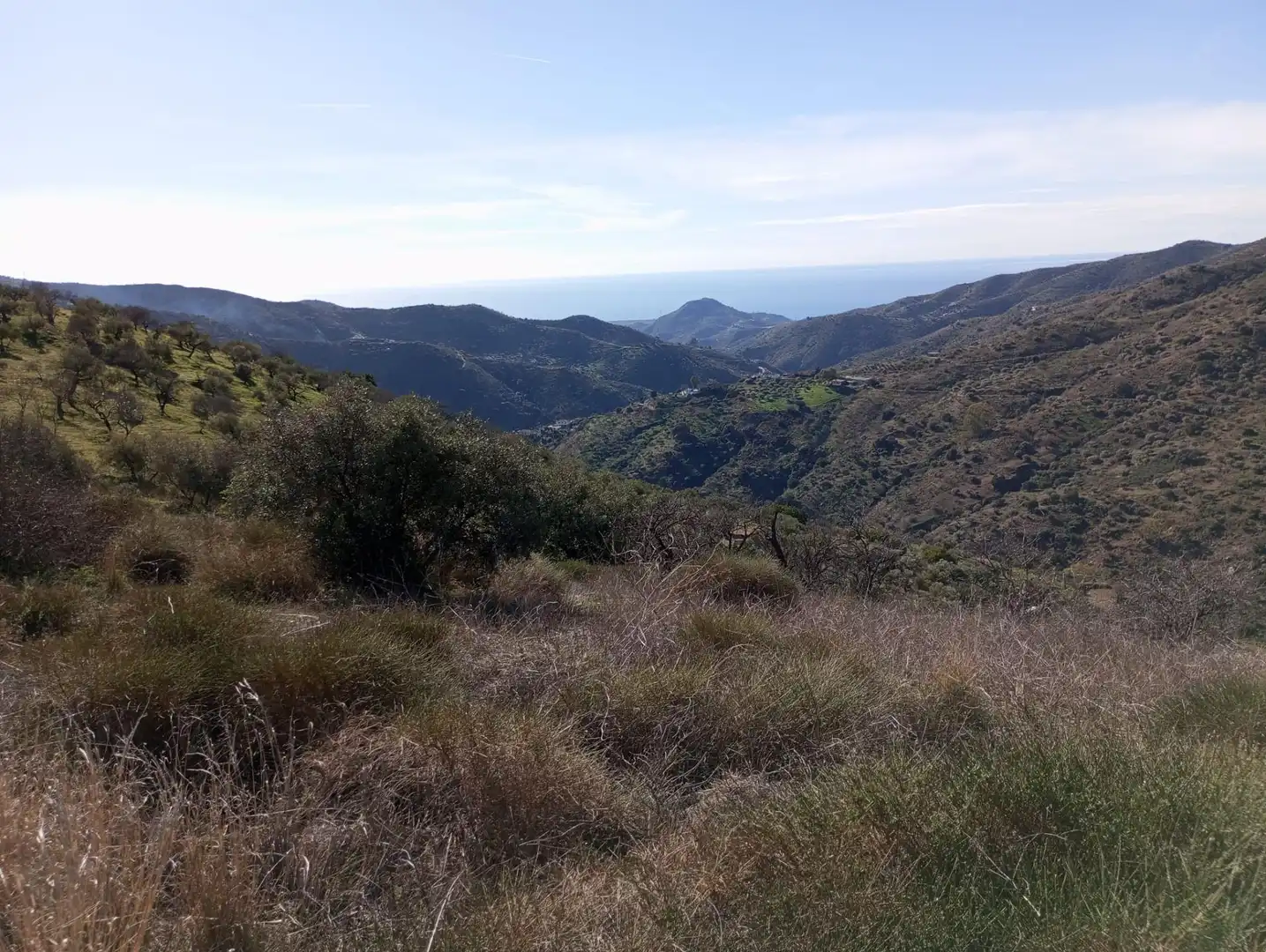 Exterior view of Land for sale in Málaga