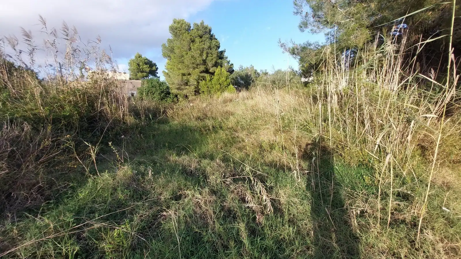 Terreny residencial en venda a Port d'Alcúdia - Platja d'Alcúdia, imagen 2