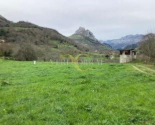 Residential zum verkauf in Robriguero, Peñamellera Baja