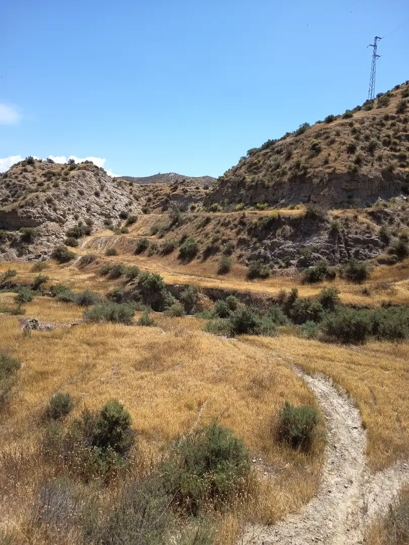 Terreno rustico in vendita a Avenida Rosalía de Castro 7B