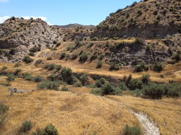 Terreno rustico in vendita a Avenida Rosalía de Castro 7B