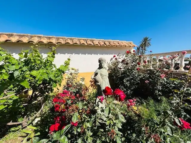 Jardín de Casa o chalet en venta en Pulpí con Amueblado