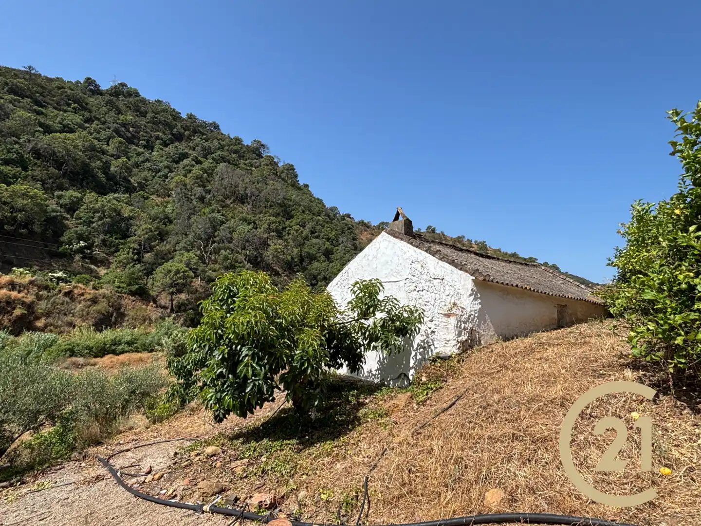 Exterior view of Land for sale in Estepona