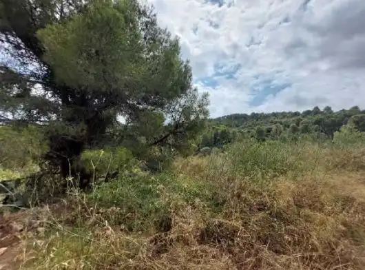 Land for sale in Orba