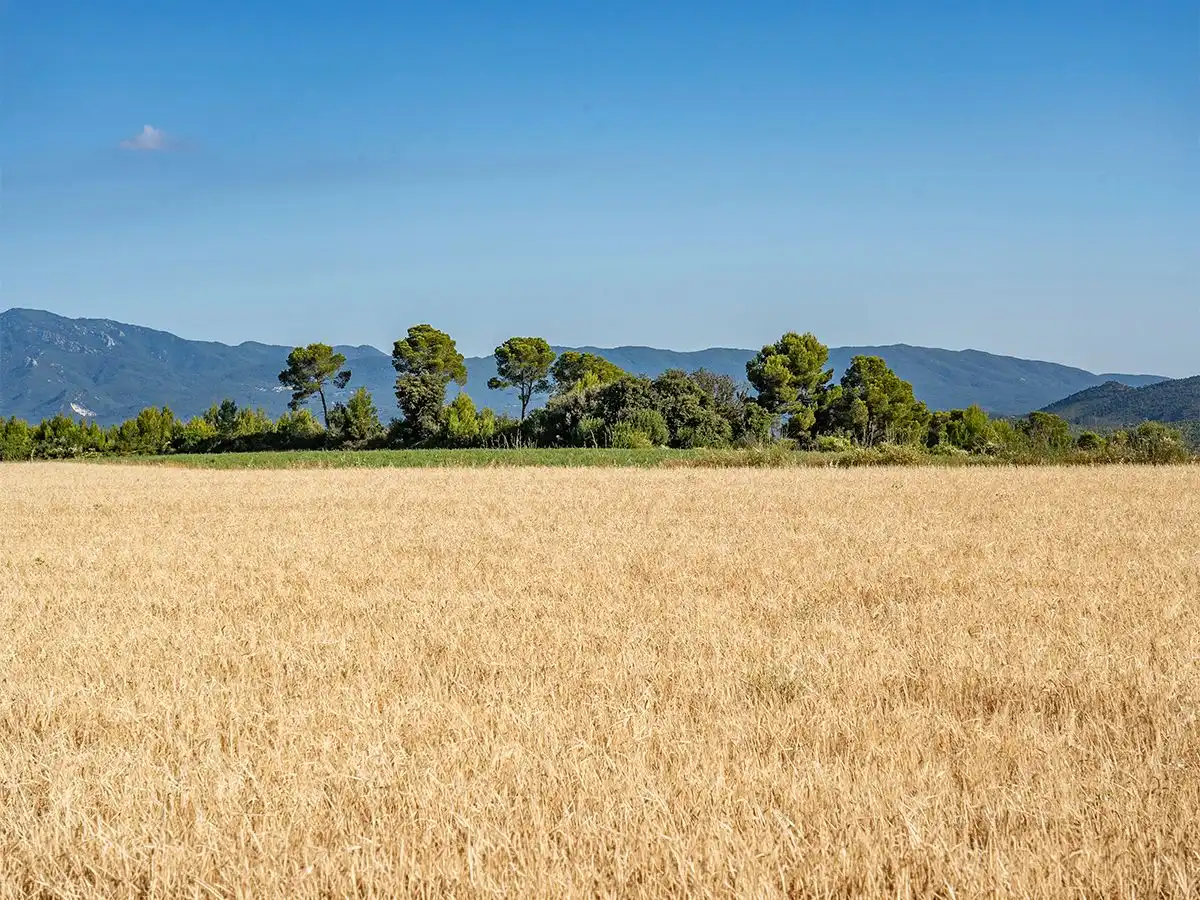 Finca rústica en venta en Llers