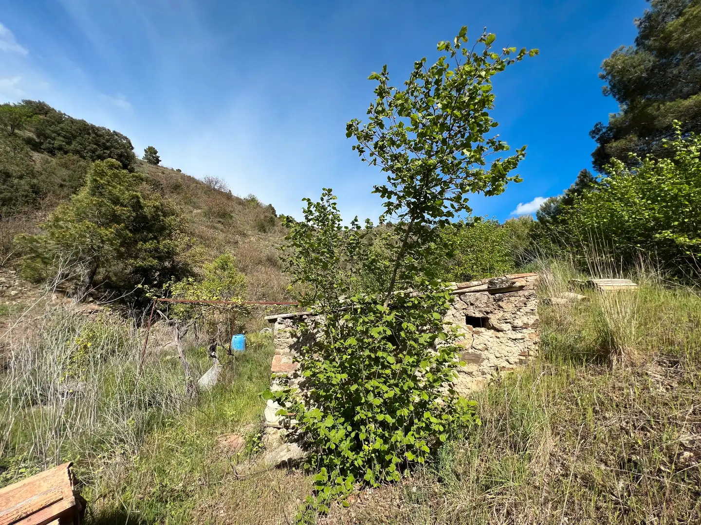 Rural land for sale in Cornudella de Montsant