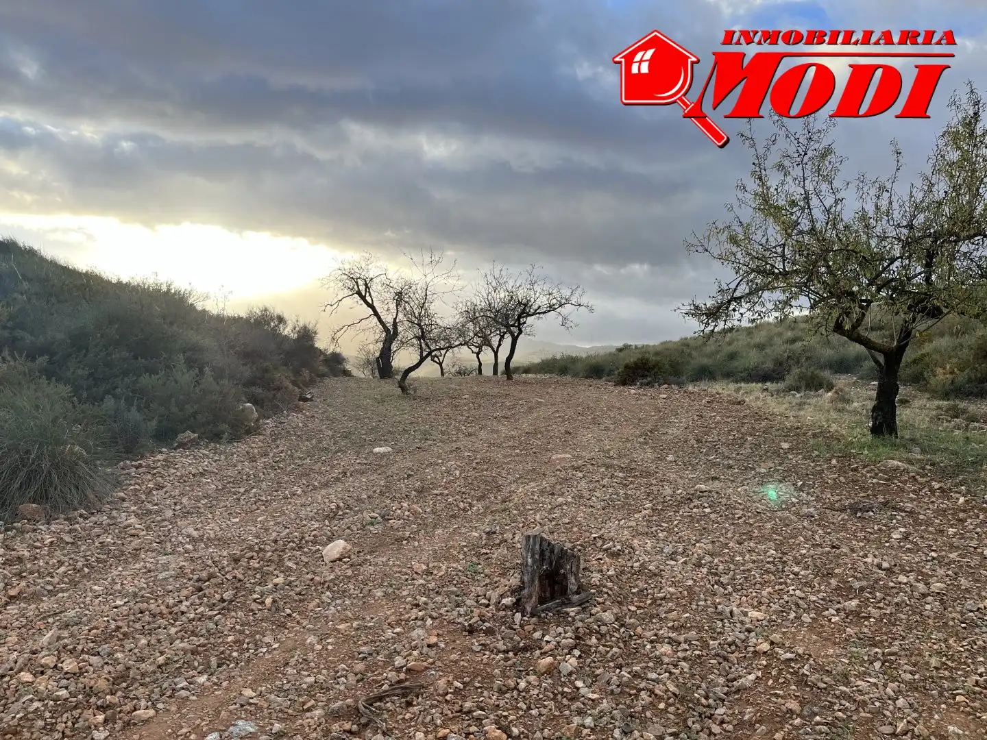 Terrenys i solars en venda a Villamena, imagen 12