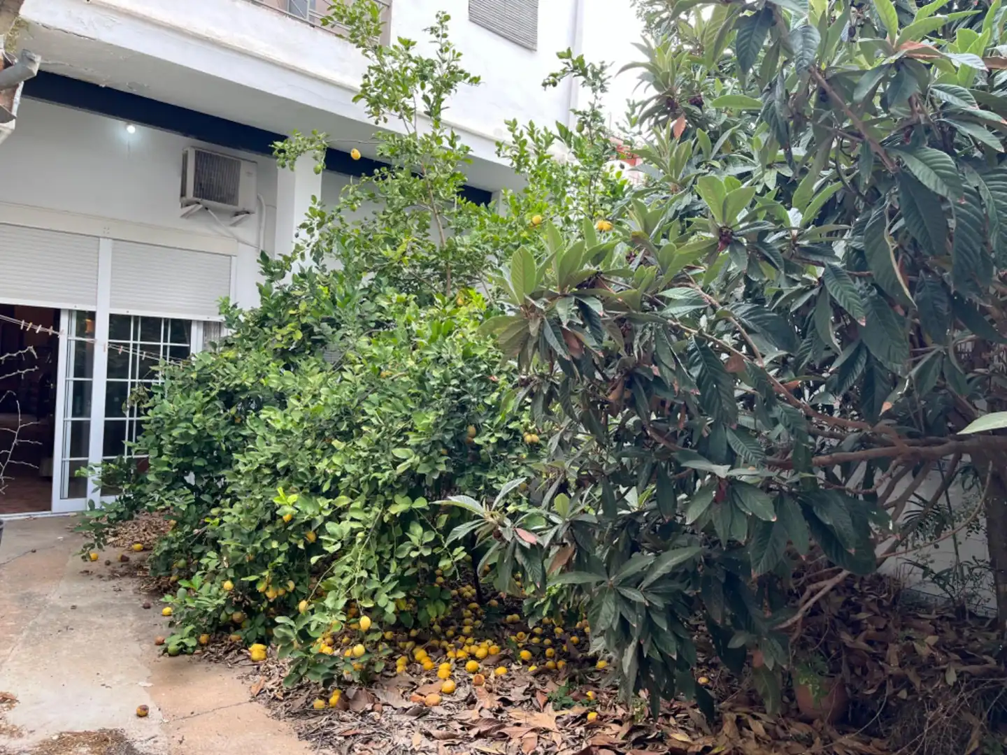 Vista exterior de Casa o chalet en venta en Alcàsser con Jardín privado, Terraza y Trastero