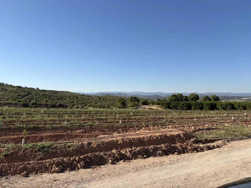 Finca rústica en venda en Pedralba amb Calefacció, Jardí privat i Terrassa